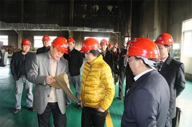 2012年1月31日，时任黄冈市委书记鲁俊携带市发改委等市级部门掌管人到公司调研