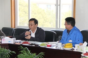 2013年3月18日，时任国度工信部节能司副司长杨铁生一行莅临公司参观领导