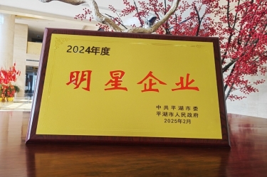 新春新景新形象 | J9集团纸业在平湖三干大会上喜摘荣誉！